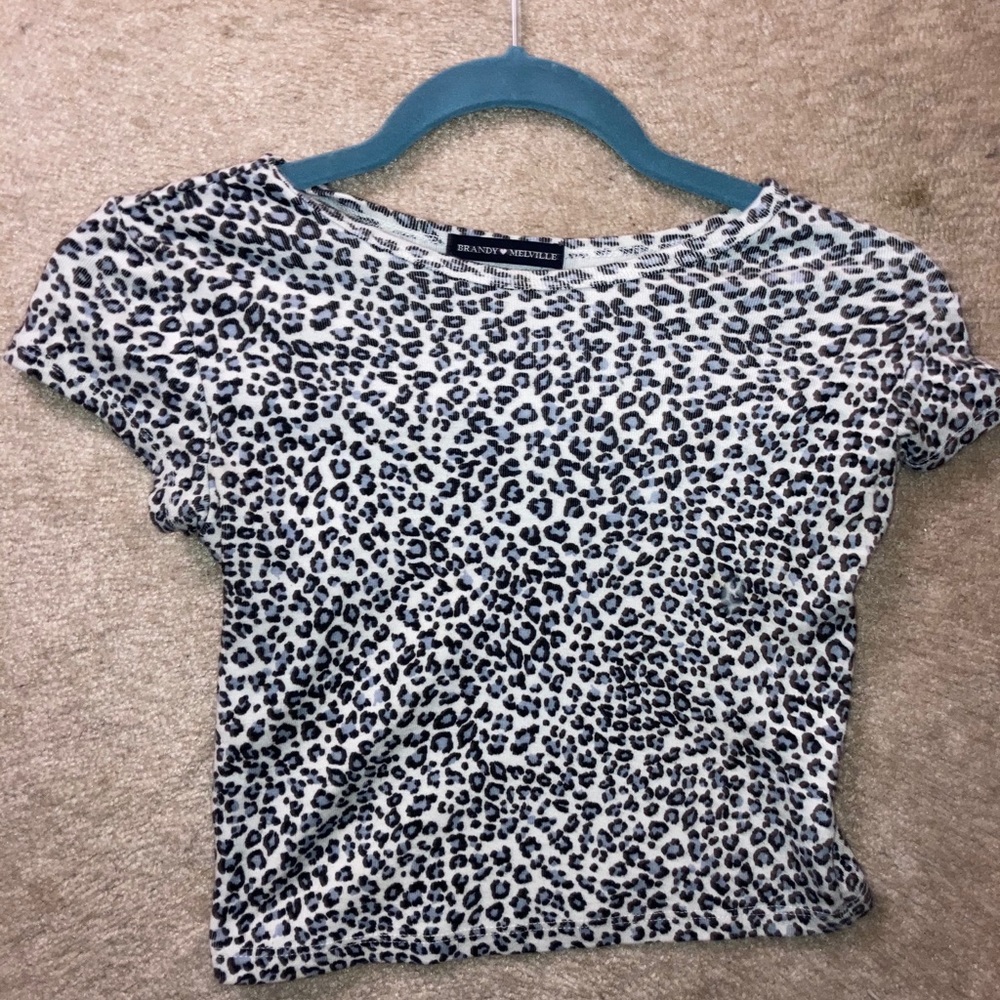 Brandy Melville cheetah crop top